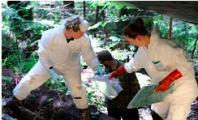 Remainsof WWII Airmen found in British Columbia